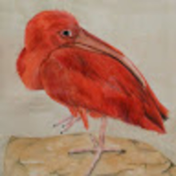 Meet your Posher, Cynthia - Picture 1 of 1